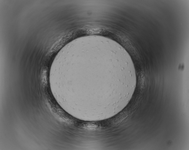 X0000114700598200912021110