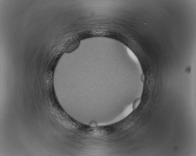 X0000114700601200912021109