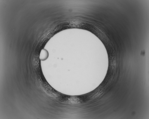 X0000114700603200912021109