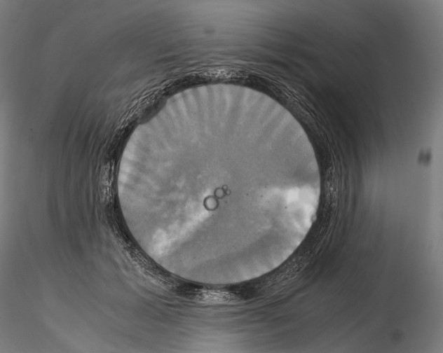 X0000114700605200912021109