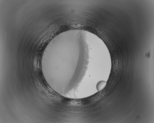 X0000114700606200912021109