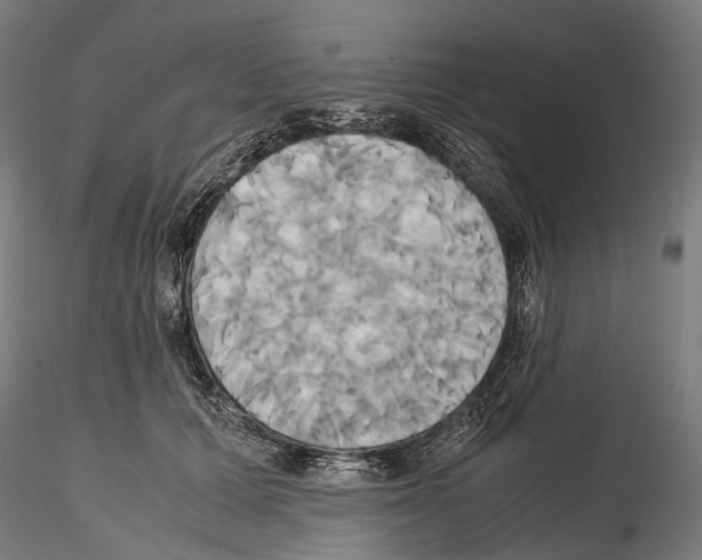 X0000114700607200912021109