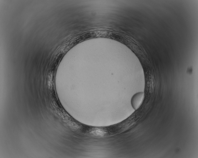 X0000114700610200912021109