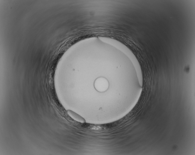 X0000114700611200912021109