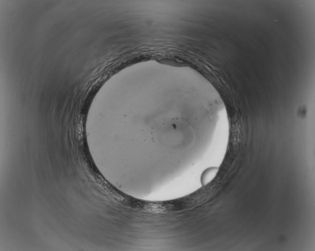 X0000114700613200912021109