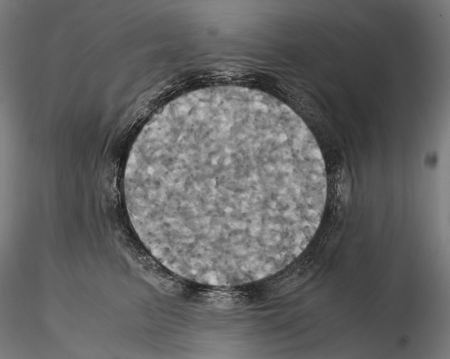 X0000114700615200912021109