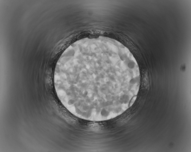 X0000114700616200912021109