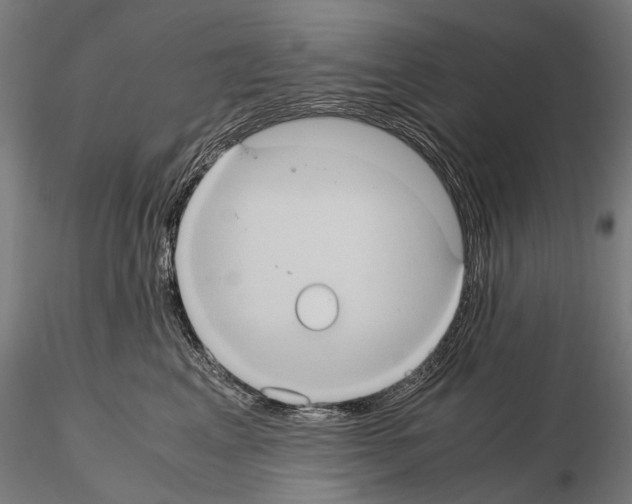 X0000114700617200912021109