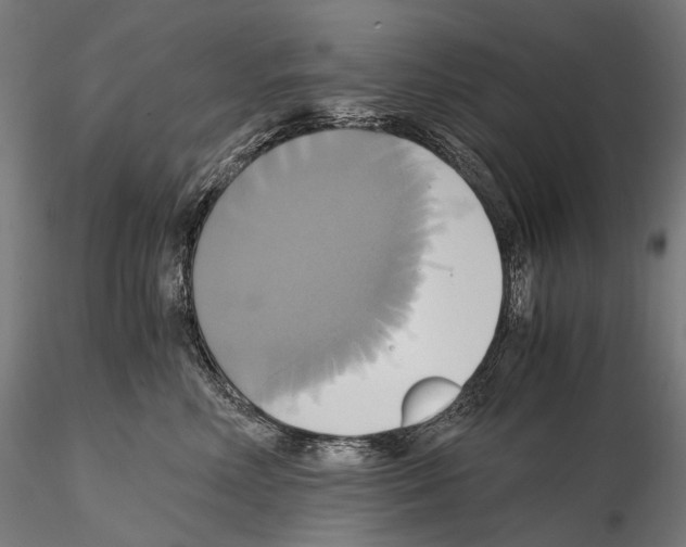 X0000114700618200912021109