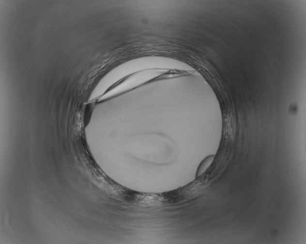 X0000114700621200912021109