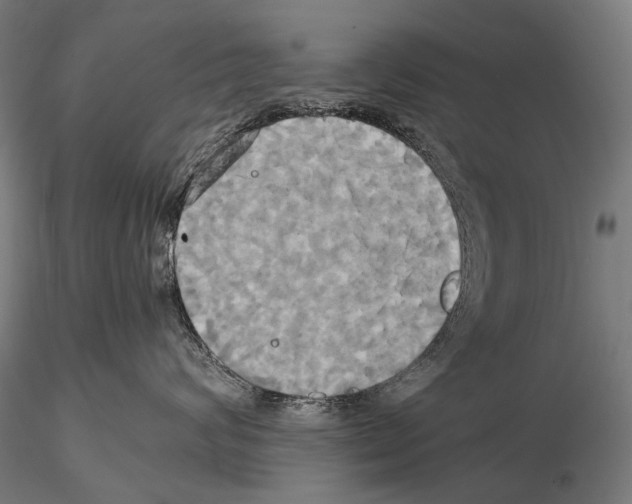 X0000114700624200912021109