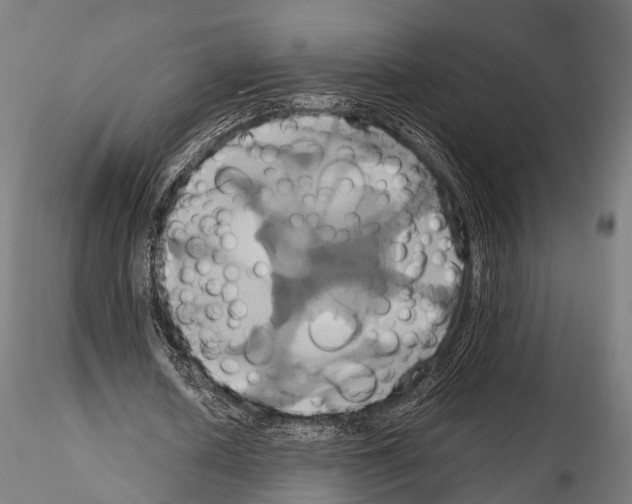 X0000114700626200912021109