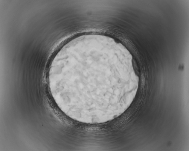 X0000114700628200912021109