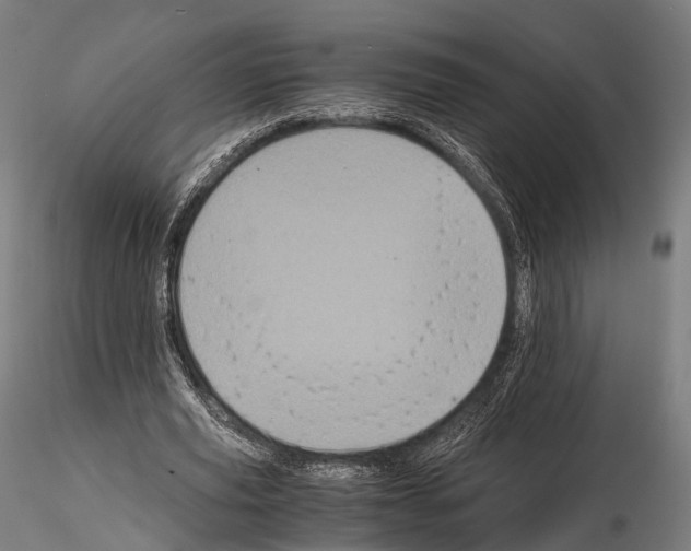 X0000114700629200912021109