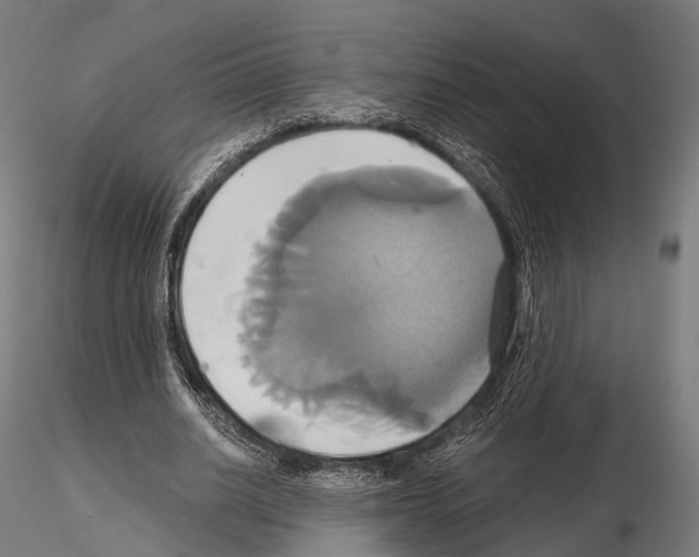 X0000114700630200912021109