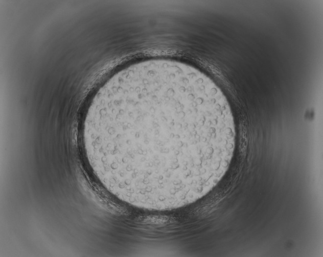 X0000114700631200912021109