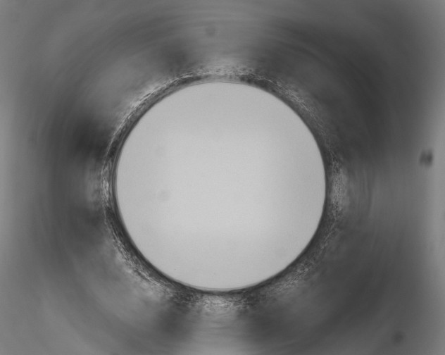 X0000114700632200912021109