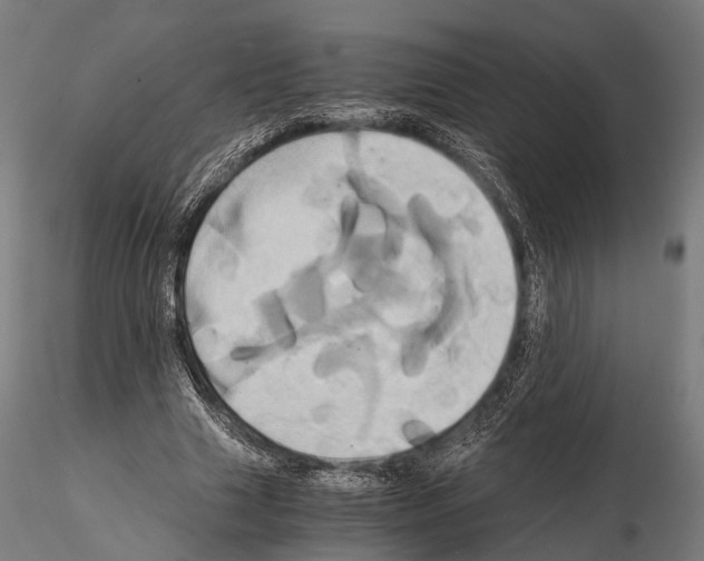 X0000114700633200912021109