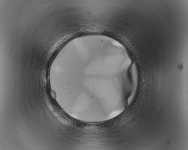 X0000114700634200912021109