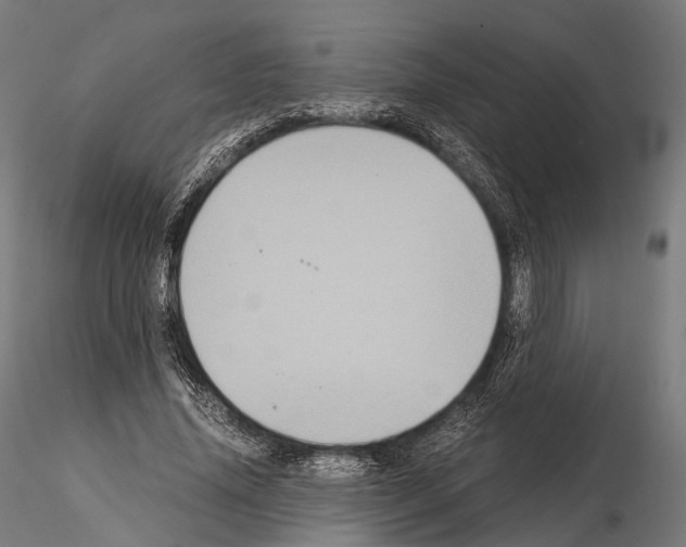 X0000114700636200912021109