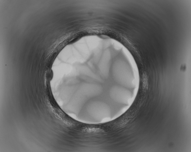 X0000114700637200912021109