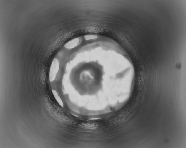 X0000114700639200912021109