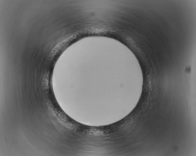 X0000114700640200912021109