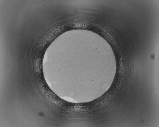 X0000114700641200912021109