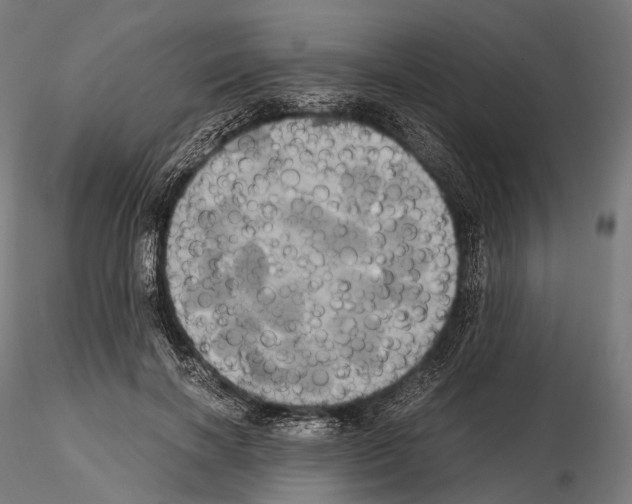 X0000114700646200912021109