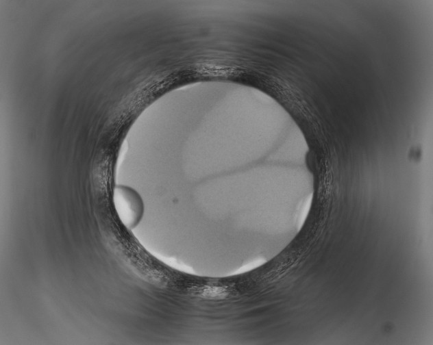 X0000114700647200912021109