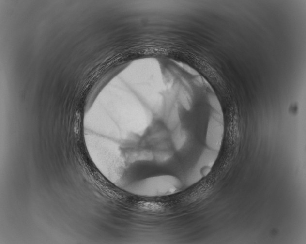 X0000114700649200912021109