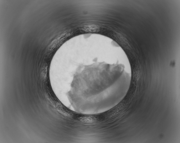 X0000114700652200912021109