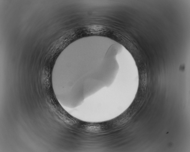 X0000114700653200912021109