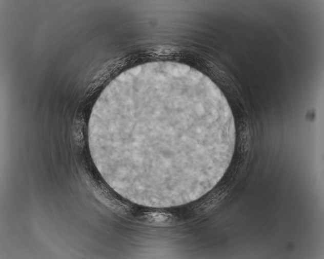 X0000114700654200912021109