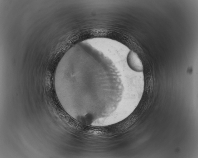 X0000114700655200912021109