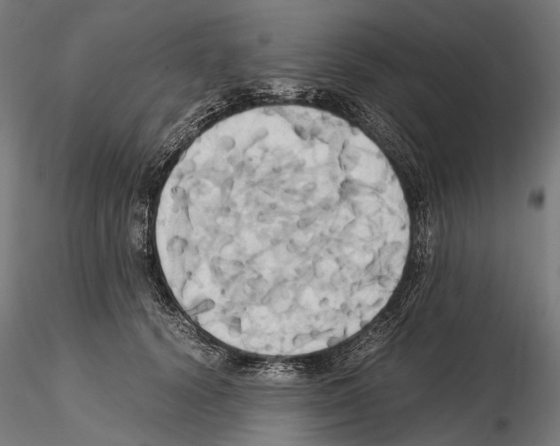 X0000114700656200912021109