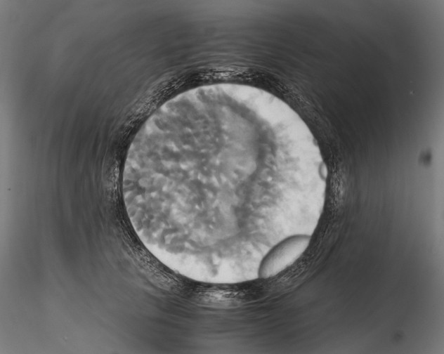 X0000114700657200912021109