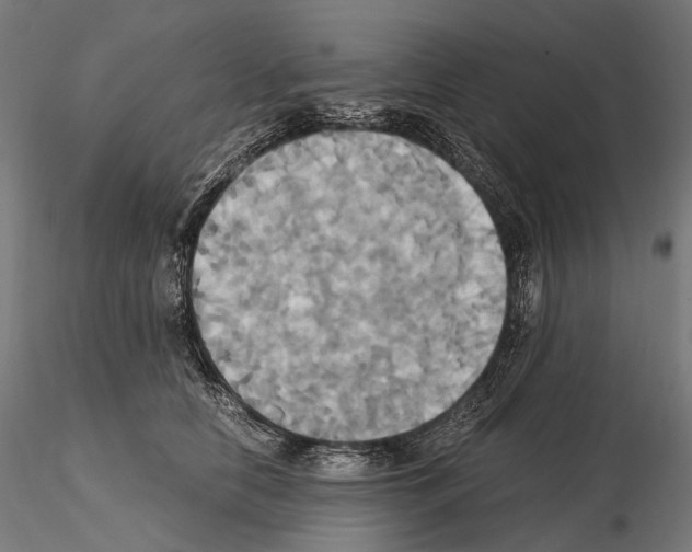 X0000114700658200912021109