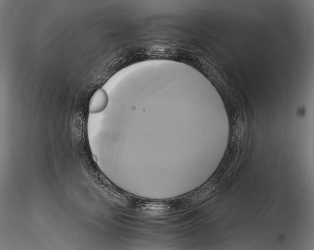 X0000114700659200912021109