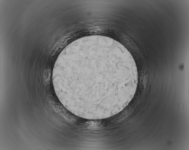 X0000114700660200912021109