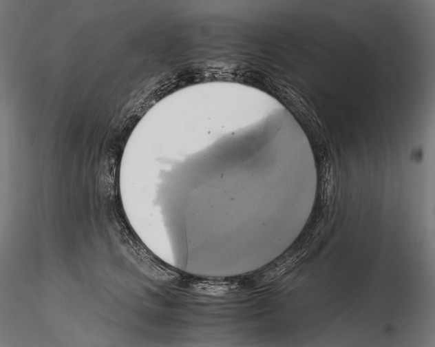 X0000114700661200912021109