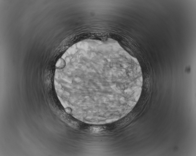 X0000114700662200912021109