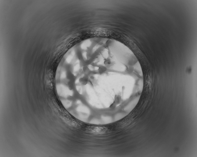 X0000114700663200912021109