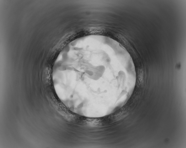 X0000114700667200912021109