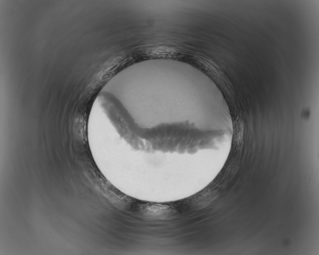 X0000114700669200912021109