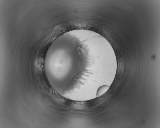 X0000114700671200912021109