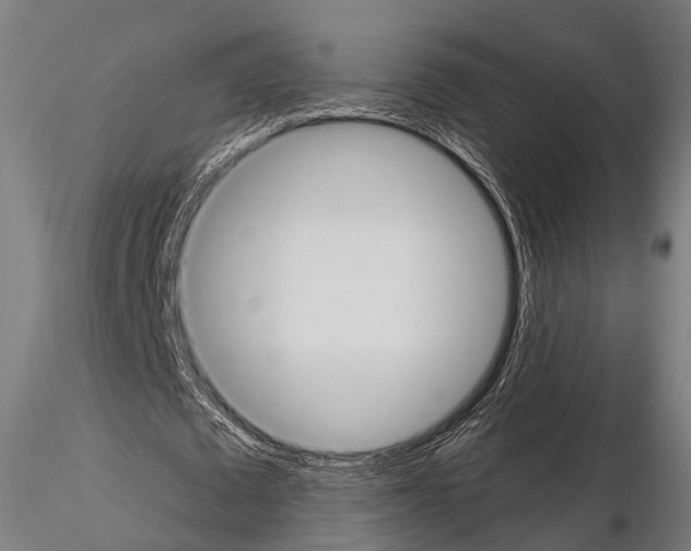 X0000114700673200912021109