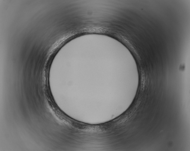 X0000114700674200912021108