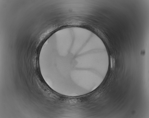 X0000114700675200912021108