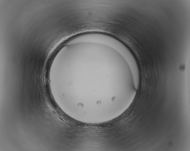 X0000114700676200912021108